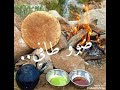 طرق عربي اولاد غيلان مخزن امى طرق عربي اولاد غيلان مخزن امى