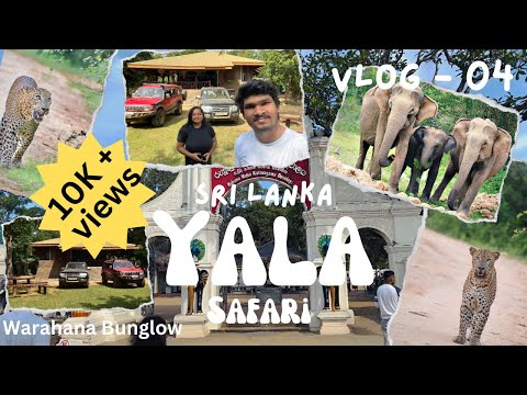 Vlog 04 - Yala Safari Vlog Sri lanka / අලියා ආවා නේද Bungalow එක ගාවටම😱#yalanationalpark #srilanka