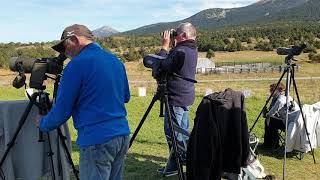 Spot Dobservation De La Migration Des Oiseaux. Col De La Perche, Eyne.