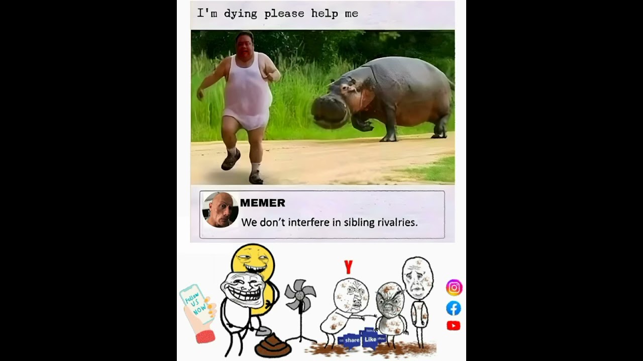 MEMES | SHIBLING RIVALRY MEME 😂😂🤣🤣 