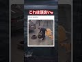 効率化大事だよな #shorts#tiktok#Twitter#おもしろ#お笑い#おすすめ#仕事 #有能 #効率化 #面白い#おもしろ動画#爆笑#バズれ