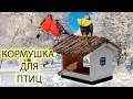 Оригинальная Кормушка для Птиц Своими Руками 🐦🐦🐦