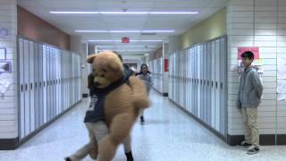 The Great Chase- LBMS 2016