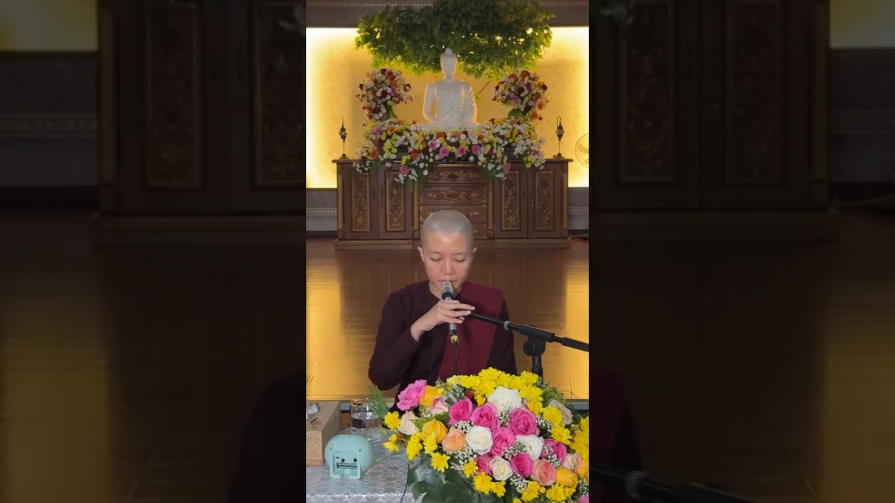 15.12.2025 စိတ်ကို တရစပ်တွေ့အောင် စောင့်ကြည့်ခြင်း ( တရားအမေးအဖြေ )