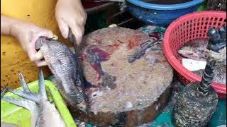 Cleaning Tilapia in the Philippines 🐟 How to clean the fish