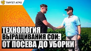 Технология выращивания сои: от посева до уборки