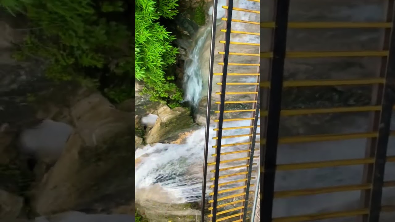 Kempty Falls, Mussoorie I Waterfall | Fountain | Queen of hills | Picnicspot ISwimmingpool| Nature 2