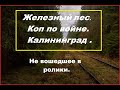 Коп в Железном лесу.Калининград. WW2/ По местам  боев за Кенигсберг.