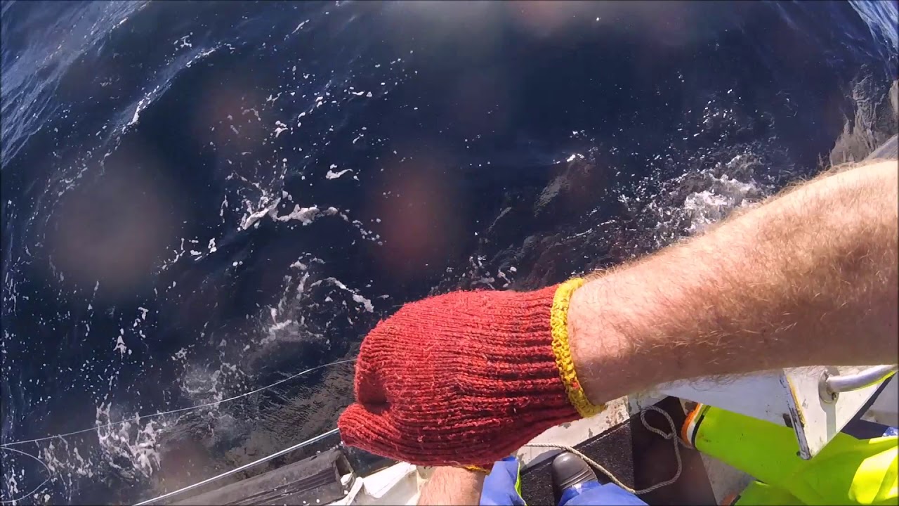 Long line adventure 2017