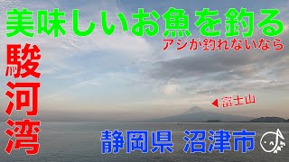 【後編】新たなフィールドへ！秋アジと秋青物を追う沼津 2019.9(5後)