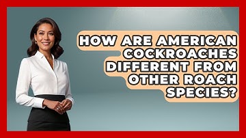 How Are American Cockroaches Different From Other Roach Species? - Insects and Invaders