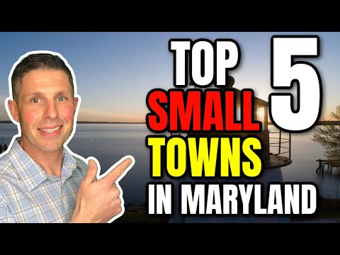 Video: Welke soorten bedrijven zouden het beste doen in Maryland?