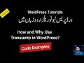Why You NEED Transients in WordPress Plugins (with Code Examples!)