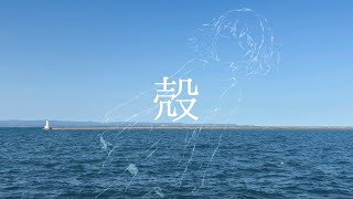 殻 / 初音ミク