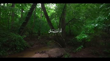 سورة النازعات كاملة مع صوت الطبيعة - أحمد عبدالحميد #quran