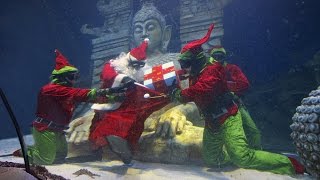 SeaLife Jesolo Natale 2015 - Video ufficiale
