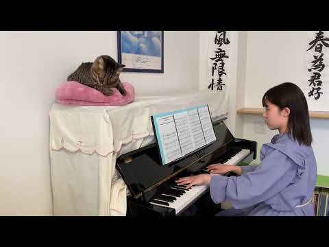 My Best Of My  Life       Superfly               ピアノ　　　〜猫と一緒〜