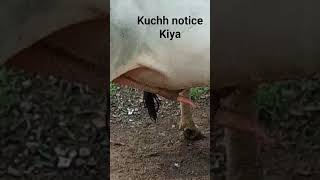 www xxx kuchh notice Kiya pura pura nikala hua Hai wwwxxx
