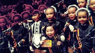 STEPPING OUT STUDIOS TROUPES