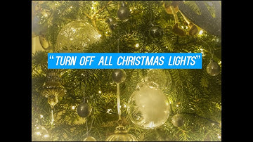 Control All Your Christmas Lights with Just Your Voice!