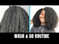 I TRIED KIMBERLY CHERRELL’s WASH &amp; GO ROUTINE | How to Get the Perfect Wash &amp; Go