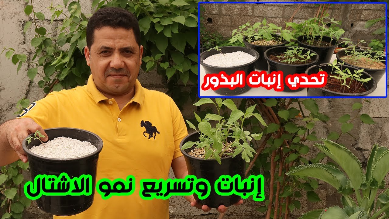 تحدي افضل تربةلإنبات البذور | ماهي أفضل تربة لإنبات البذور بسرعة وتقوية نمو الاشتال بعد الإنبات؟
