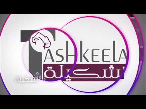 شركة شبه الجزيرة المحدودة