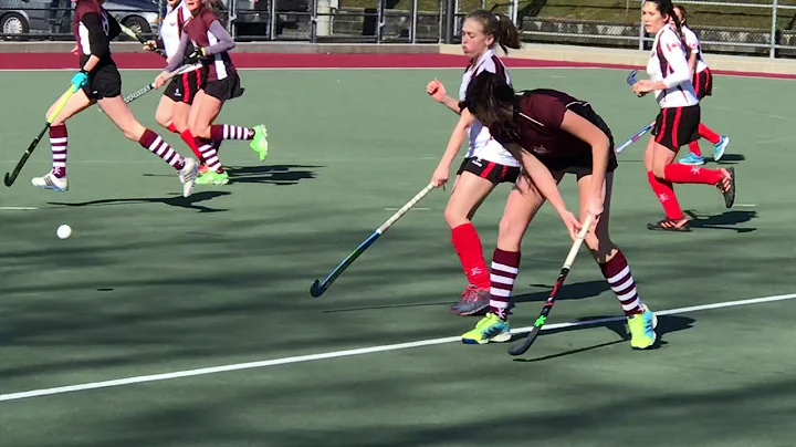 Julia MacLachlan 2019 Highlights