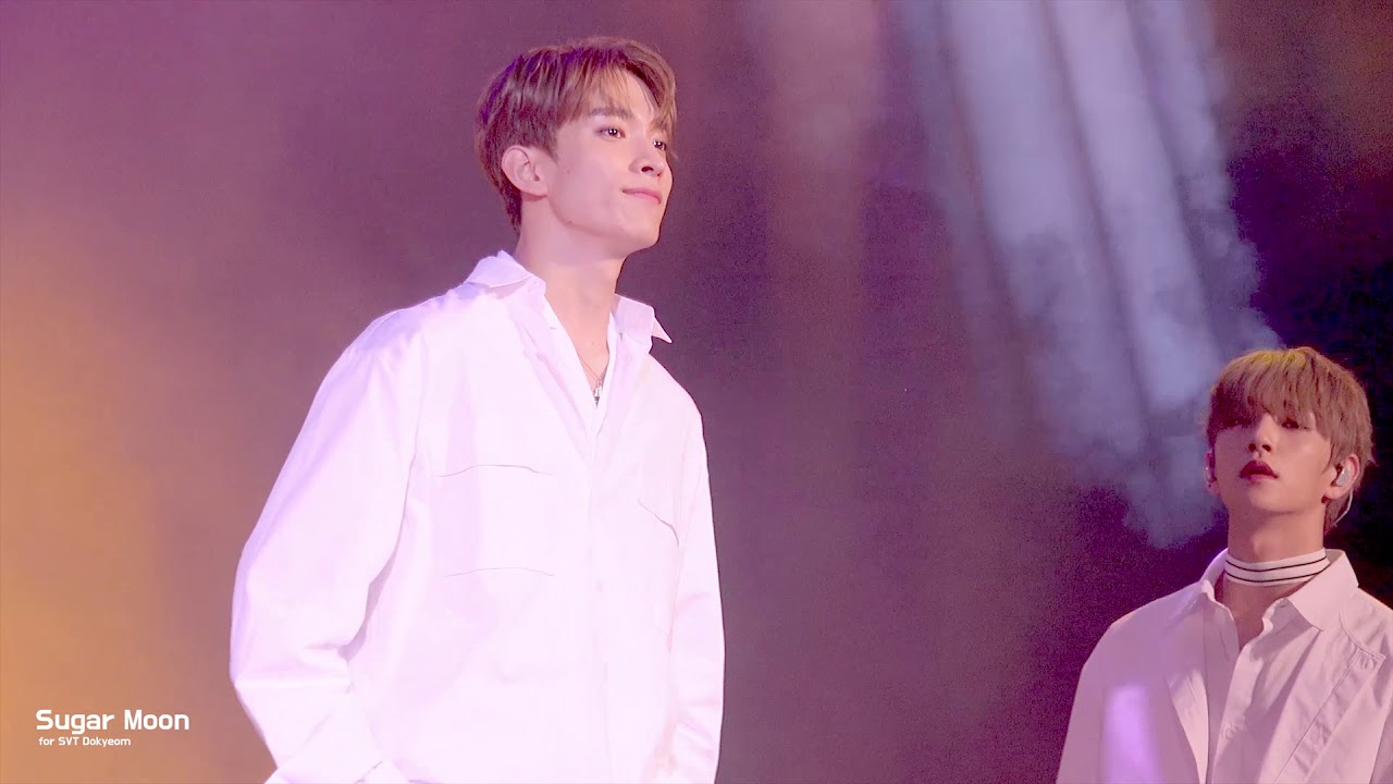 190629 성남파크콘서트 세븐틴 