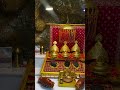 Short video share karo dava ke