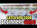 CATCH AND COOK BEGINNERS GUIDE (REBIRTH, MONEY, how to FISH, PROGRESSION, BAITS, CODES) Roblox