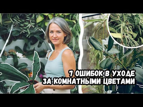 Видео: Проблемы с комнатными цветами - 7 самых частых ошибок | Секреты в уходе за комнатными растениями