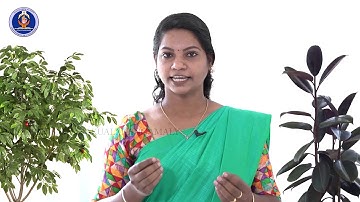 Class 4 Chapter 11 Part 1