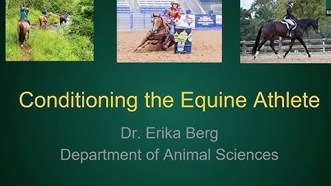 Conditioning the Equine Athlete – NDSU Extension Spring 2021 Horse Management Webinar Series