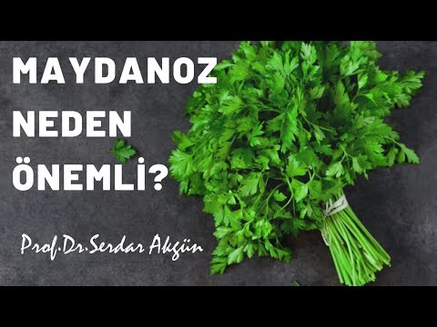 Video: Maydanozun Faydalı özellikleri