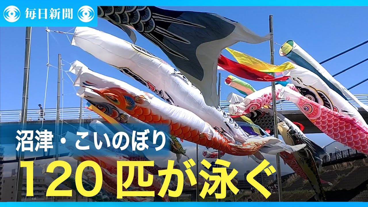 ラブライブ！サンシャイン！！も登場 沼津・こいのぼりフェスティバル