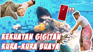 IPHONE DESTROYED BY ALLIGATOR TURTTLE  ! ! !