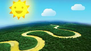 THE RAINFOREST (Animated Short Film)