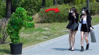 나무가 갑자기 움직인다면?? ㅁㅊ 리액션 ㅋㅋㅋ