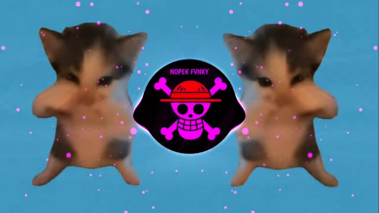 DJ KICAU KICAU KICAU MANIA SLOW VIRAL TIKTOK FULL SONG TERBARU 2026 