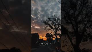 semua terserah padamu aku begini adanya STORY WA 30 DETIK || VIRAL TIKTOK || #shorts #fyp semua terserah padamu aku begini adanya STORY WA 30 DETIK || VIRAL TIKTOK || #shorts #fyp