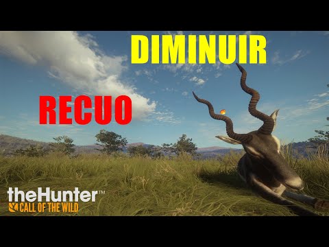 Vídeo: Como Reduzir O Recuo