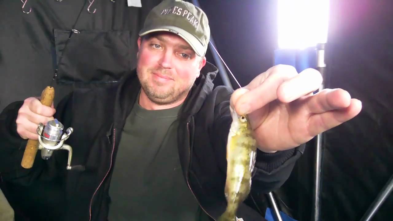 Huge Perch with Pauls Fishing Guide Just Having Fun!!!