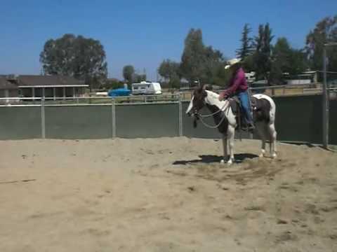 Dan Bruce Breaking Rosie to Ride, Part 7, May 25, ...