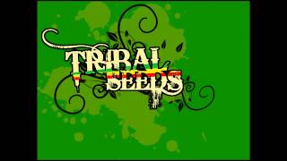 Video thumbnail of "Tribal Seeds - Roman Leader"