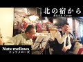 Nuts mellows -「北の宿から」 (都はるみ Cover)