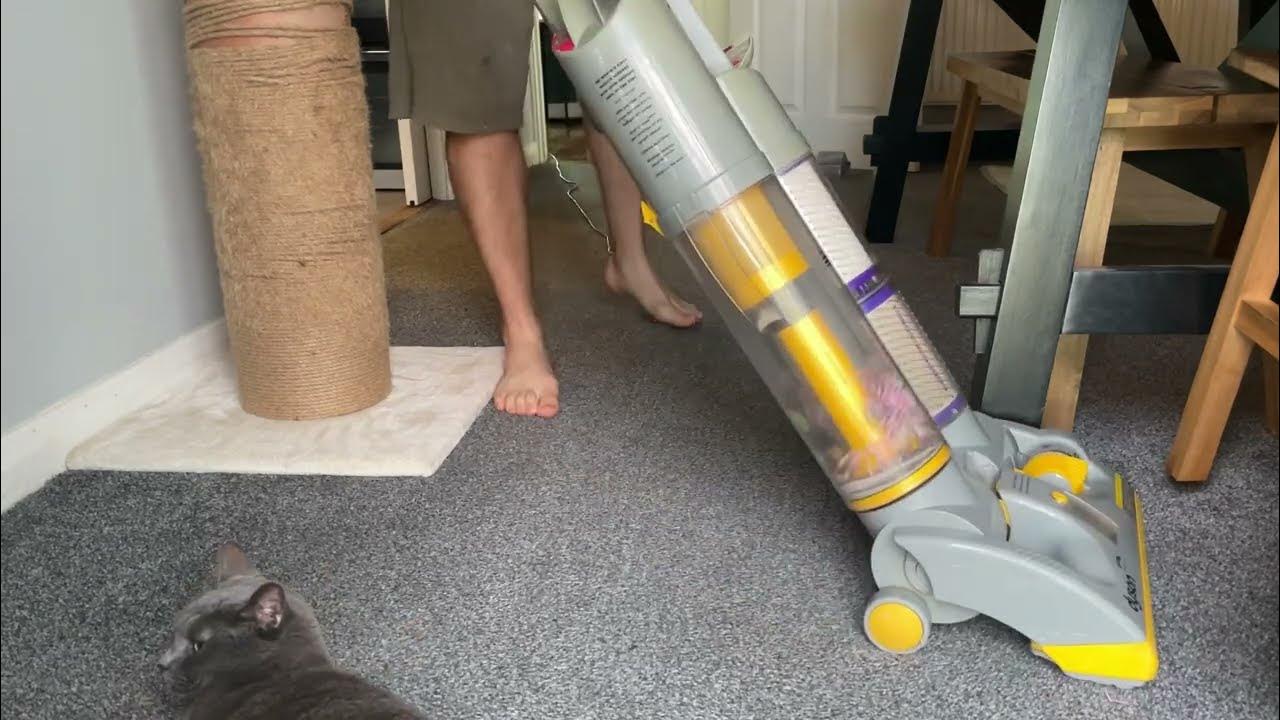 Dyson dc03 bagless vacuum cleaner 1997 Natural vacuum Vacuum with
