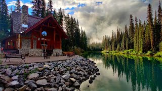Tranquil Harmony: A Relaxing and Soothing Music Experience, Soothing Deep Sleep Music
