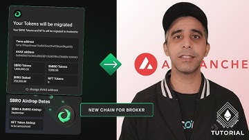 $BRO Migration | Brokkr.finance is migrating from TERRA to AVALANCHE | CryptoSetups Tutorial 2022