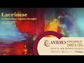 Soma Szabó - Renaissance, the birth of perspective